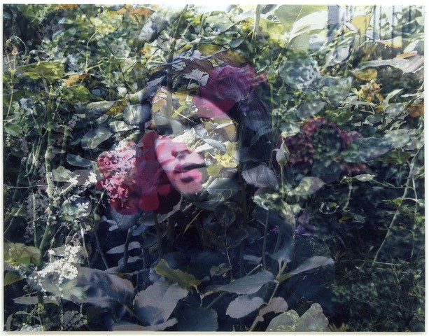 Wilma Kuil. Reflectie in patronen