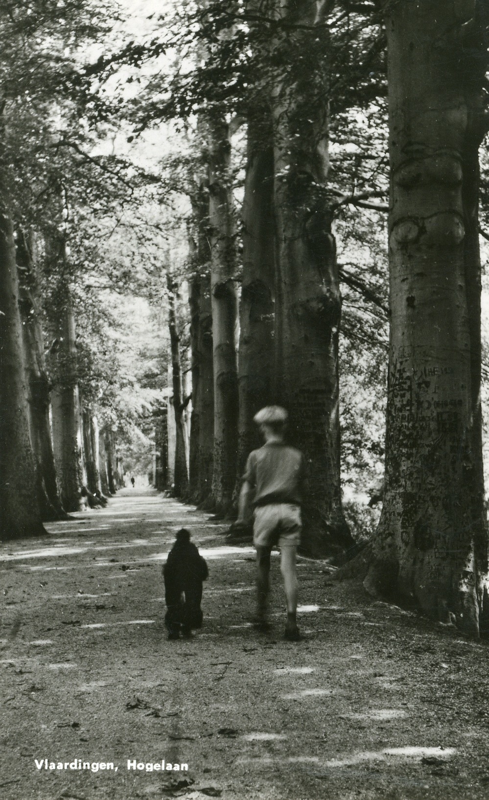 Ode aan het Stadspark: Een wandeling door het Hof en het Oranjepark