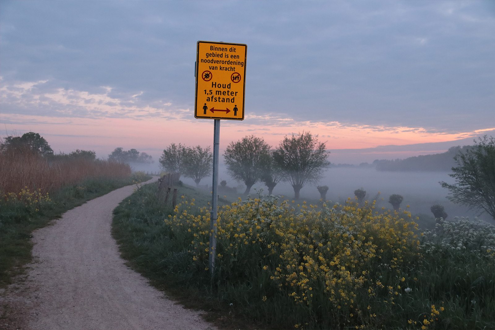 5 haringen & 2 liter soep